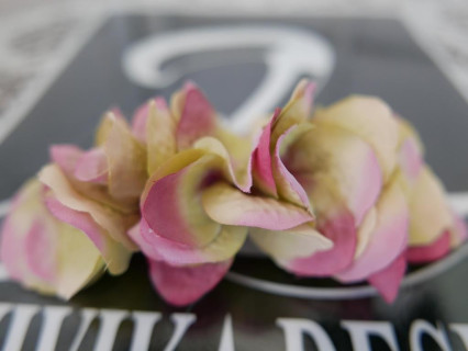 Zielone hortensje stroik na grzebyku