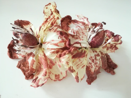 Brązowe magnolie stroik na grzebyku