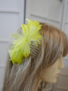 Limonka piórka na grzebieniu 18 cm