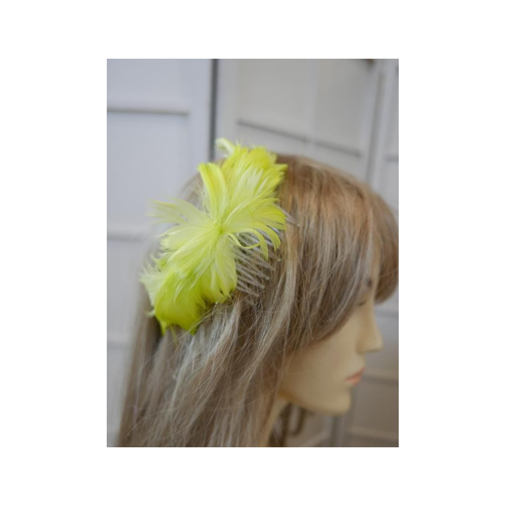 Limonka piórka na grzebieniu 18 cm