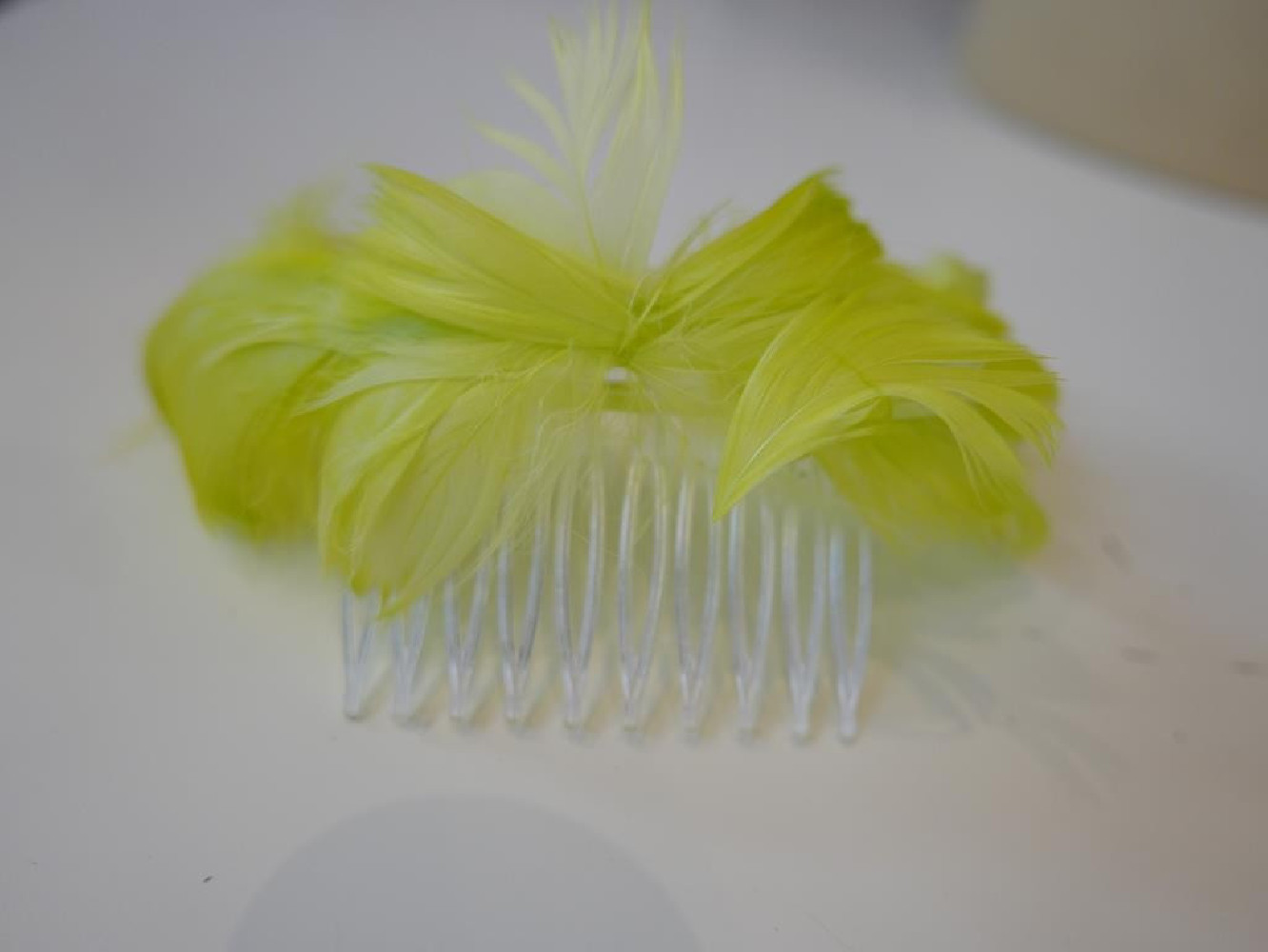 Limonka piórka na grzebieniu 18 cm