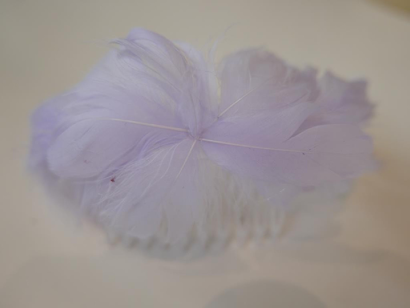 Lila piórka na grzebieniu 18 cm