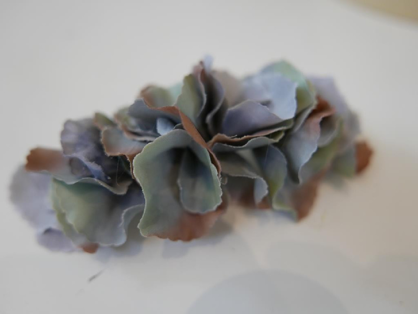 Szare hortensje stroik na grzebyku