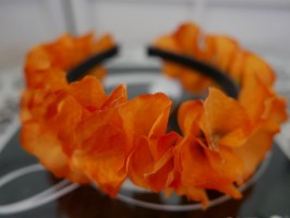 Wianek pomarańczowe hortensje panieński, eventy