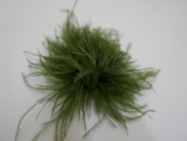 Oliwkowo zielone strusie piórka stroik do włosów , sukni, kapelusza