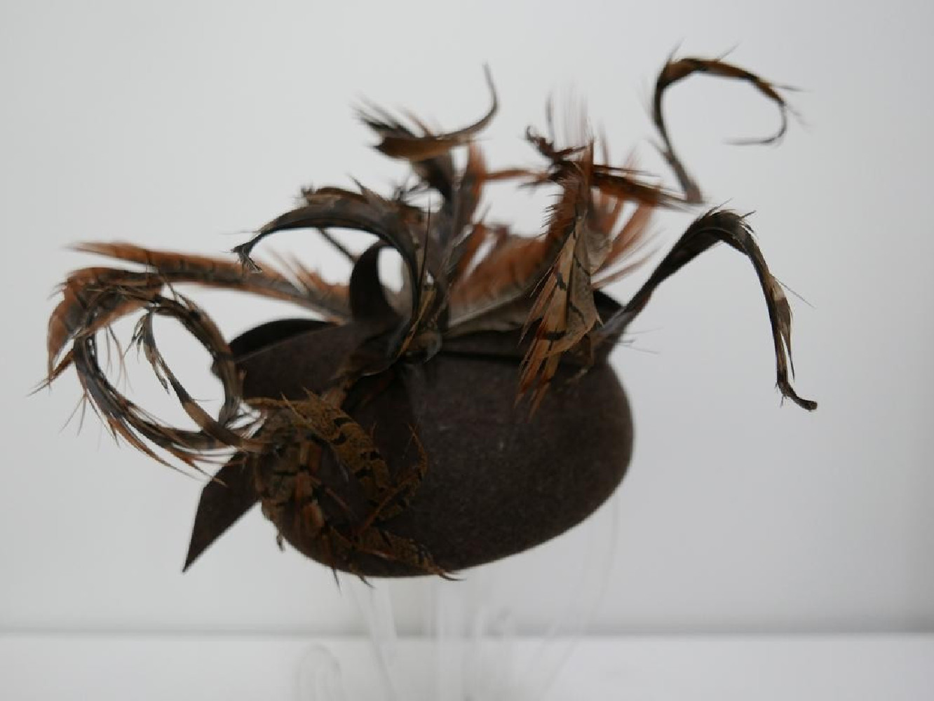 Dziki bażant, toczek filcowy z piórami bażanta