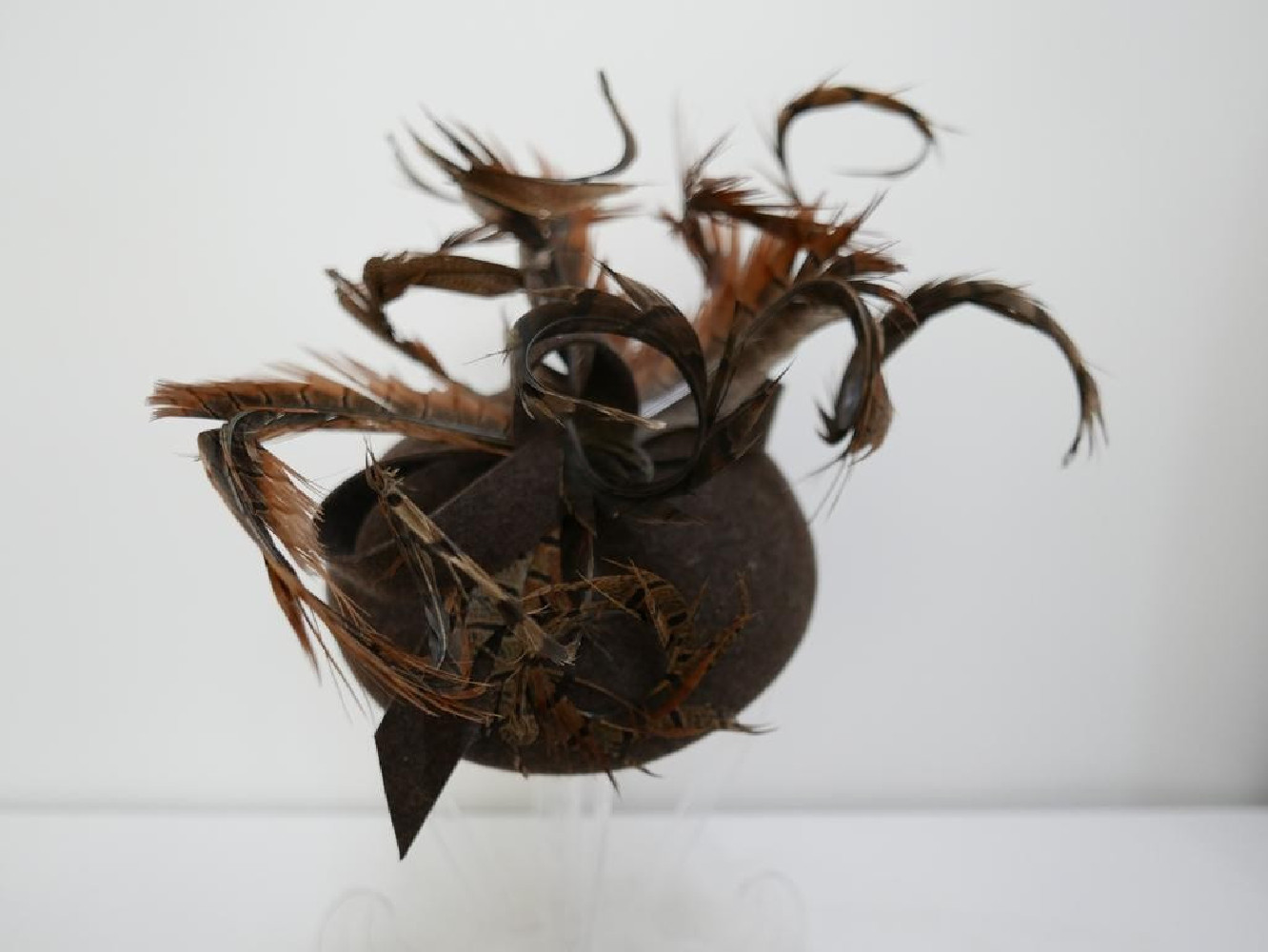 Dziki bażant, toczek filcowy z piórami bażanta