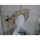 Dolce Vita panterka wizytowy kapelusz  sinamay 55-58cm