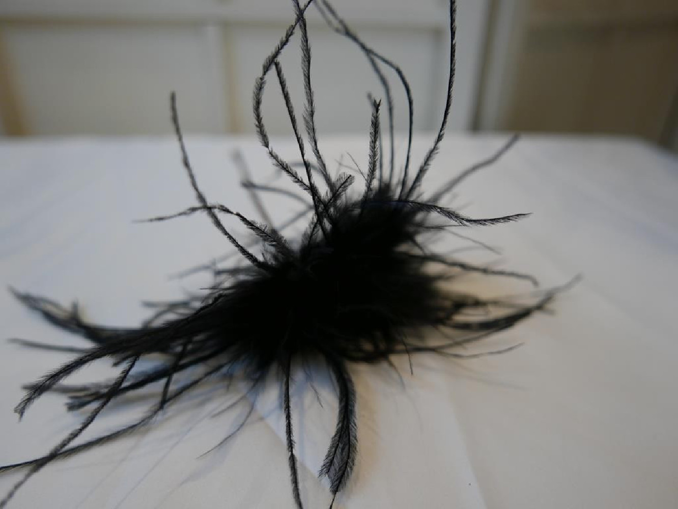 Czarne strusie pióra stroik na szpilce kokówce